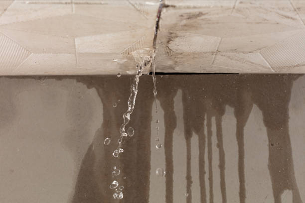 Professional Water Extraction technician working in Peconic, NY